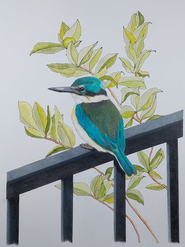Original drawing - Kōtare (Kingfisher) and Lime leaves