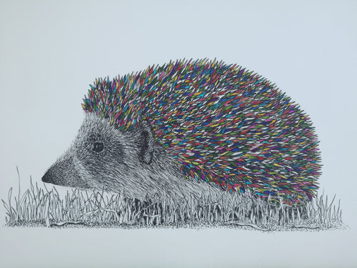 'Rainbow Hedgehog' #1