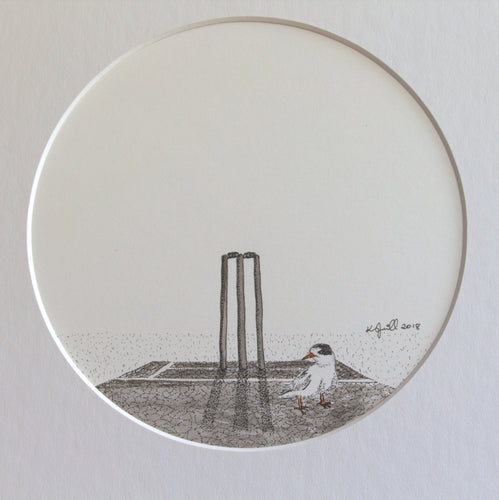 'Tara iti on the Cricket pitch'