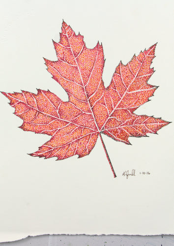 Maple leaf - National flower of Canada