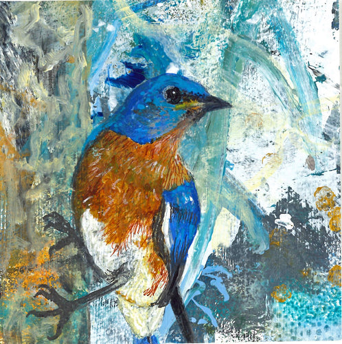 Birdtober - Eastern Bluebird
