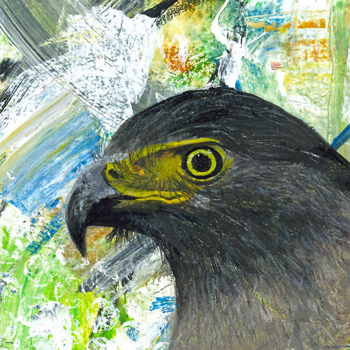 Greeting card - Crested Serpent Eagle