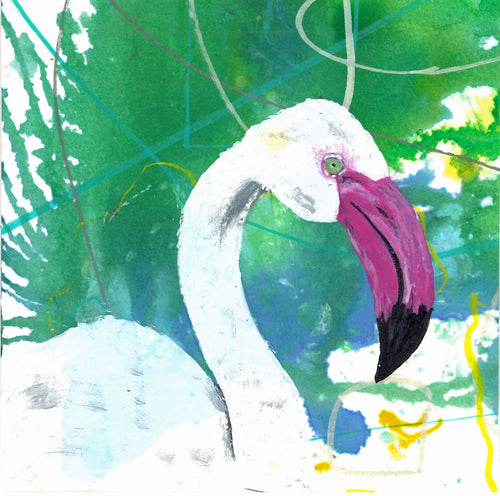 Greeting card - Greater Flamingo