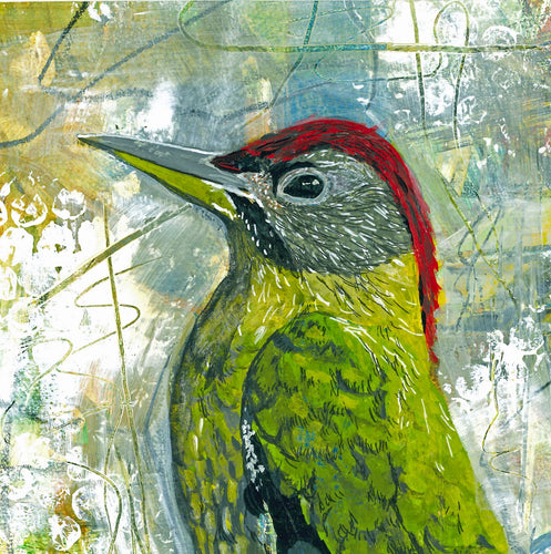 Greeting card - Laced Woodpecker
