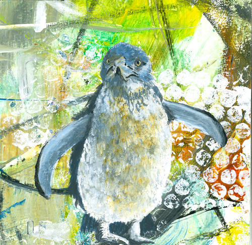 Greeting card - Kororā - Little Blue Penguin