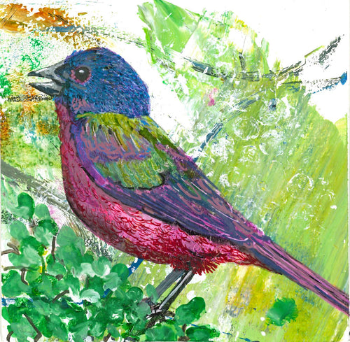 Greeting card - Painted Bunting