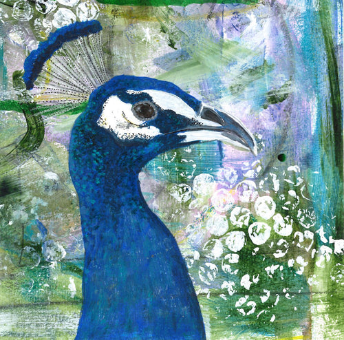Greeting card - Peacock