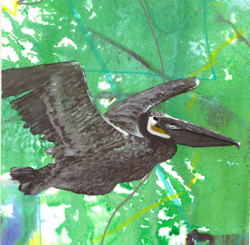 Birdtober - Brown Pelican