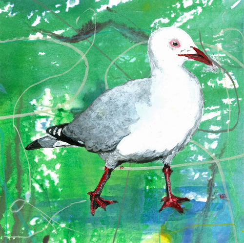 Greeting card - Tarāpunga - Red-billed Gull