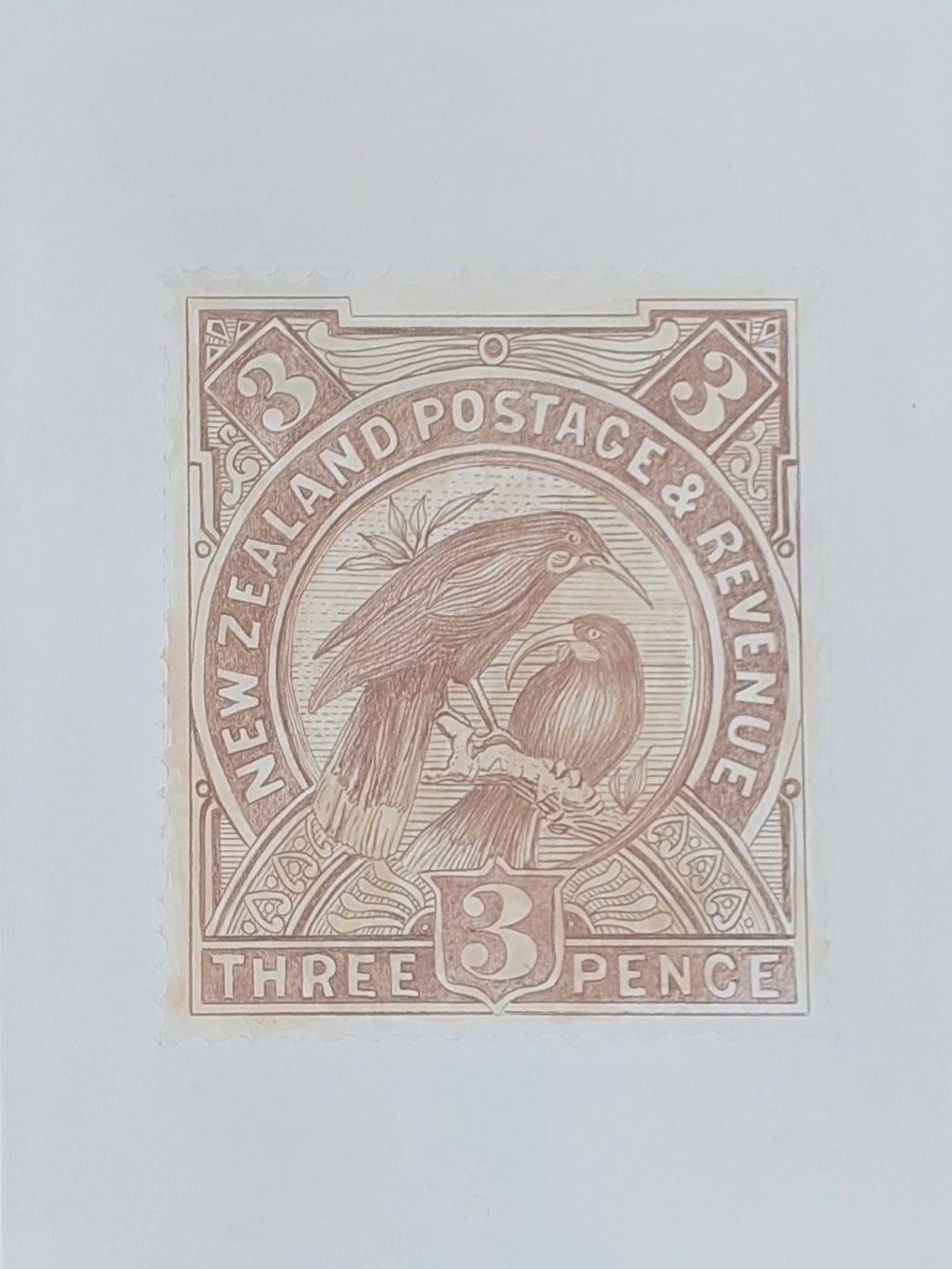3d Huia Stamp