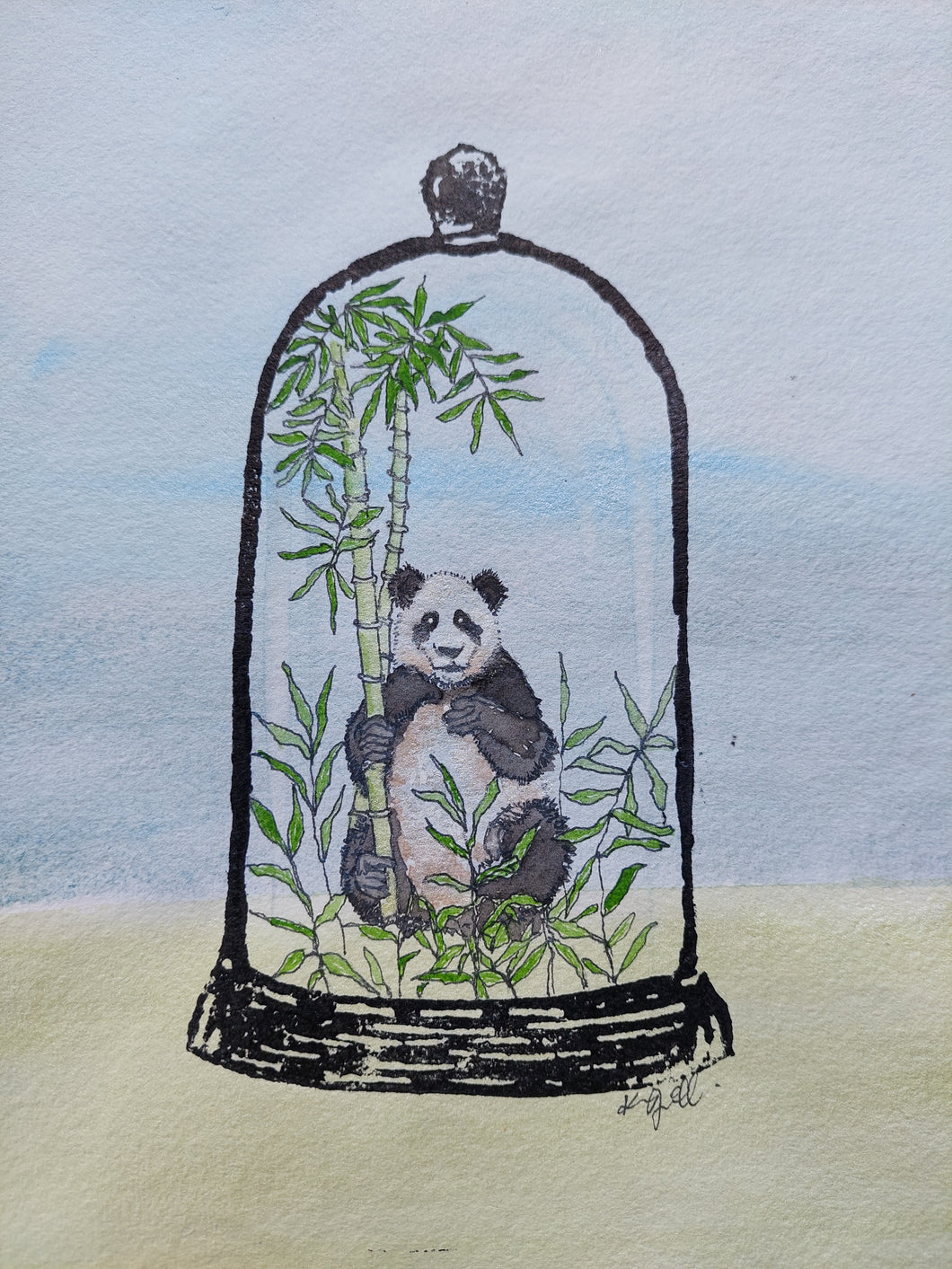 Giant panda