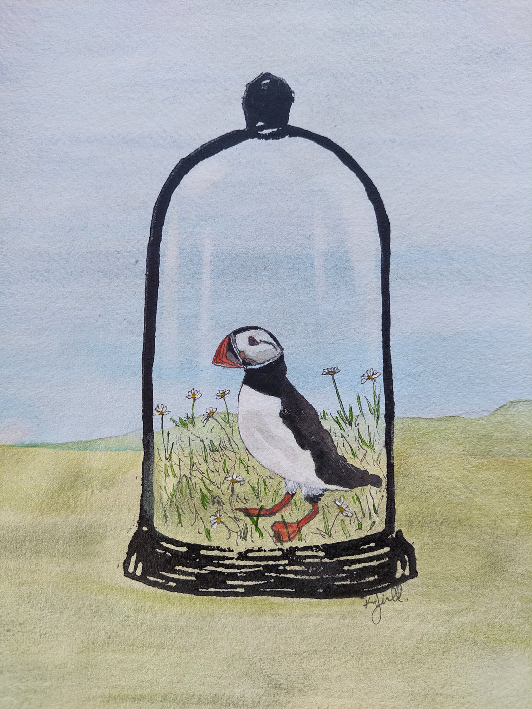 Atlantic Puffin