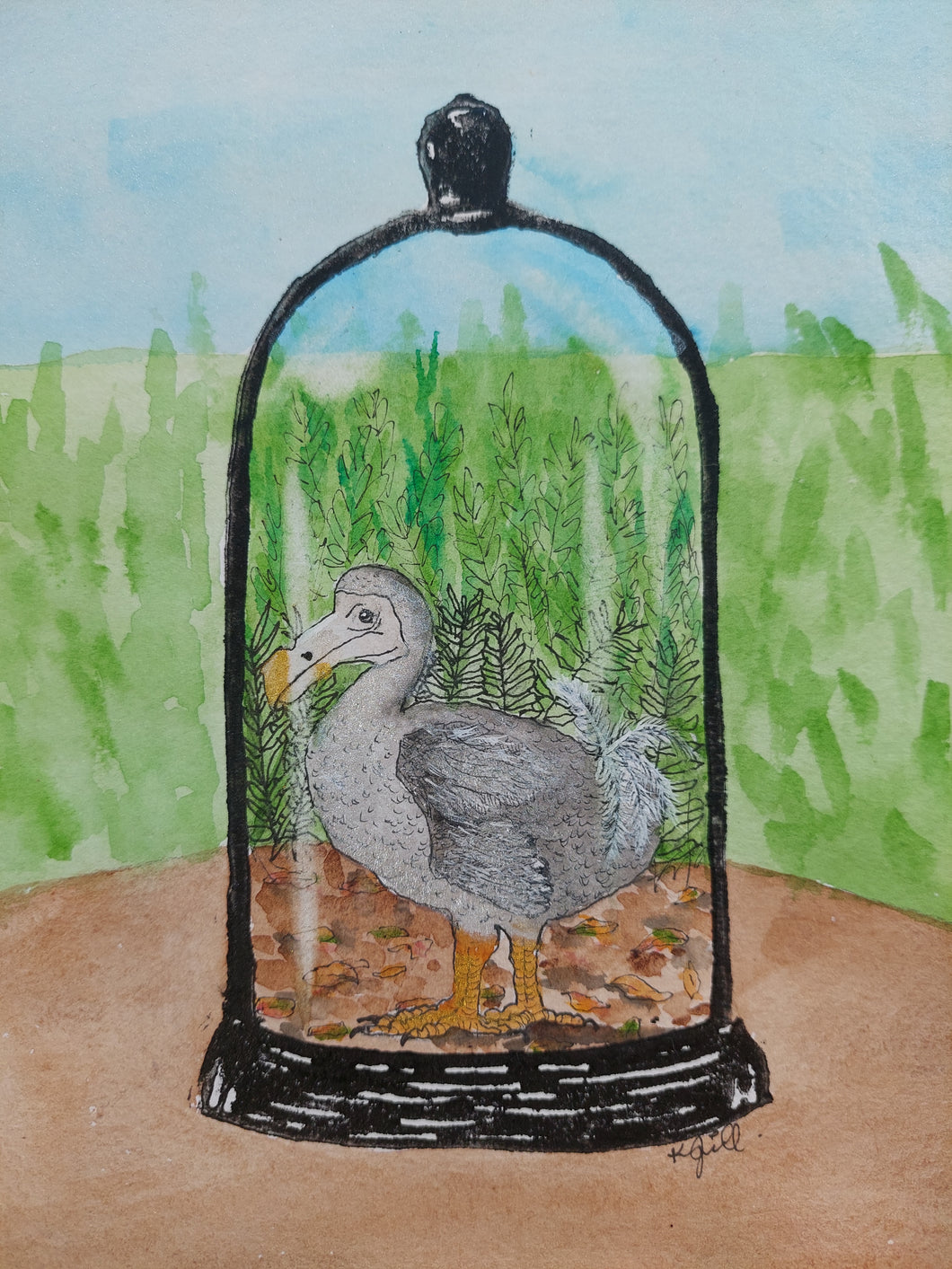 Dodo (Raphus cucullatus)