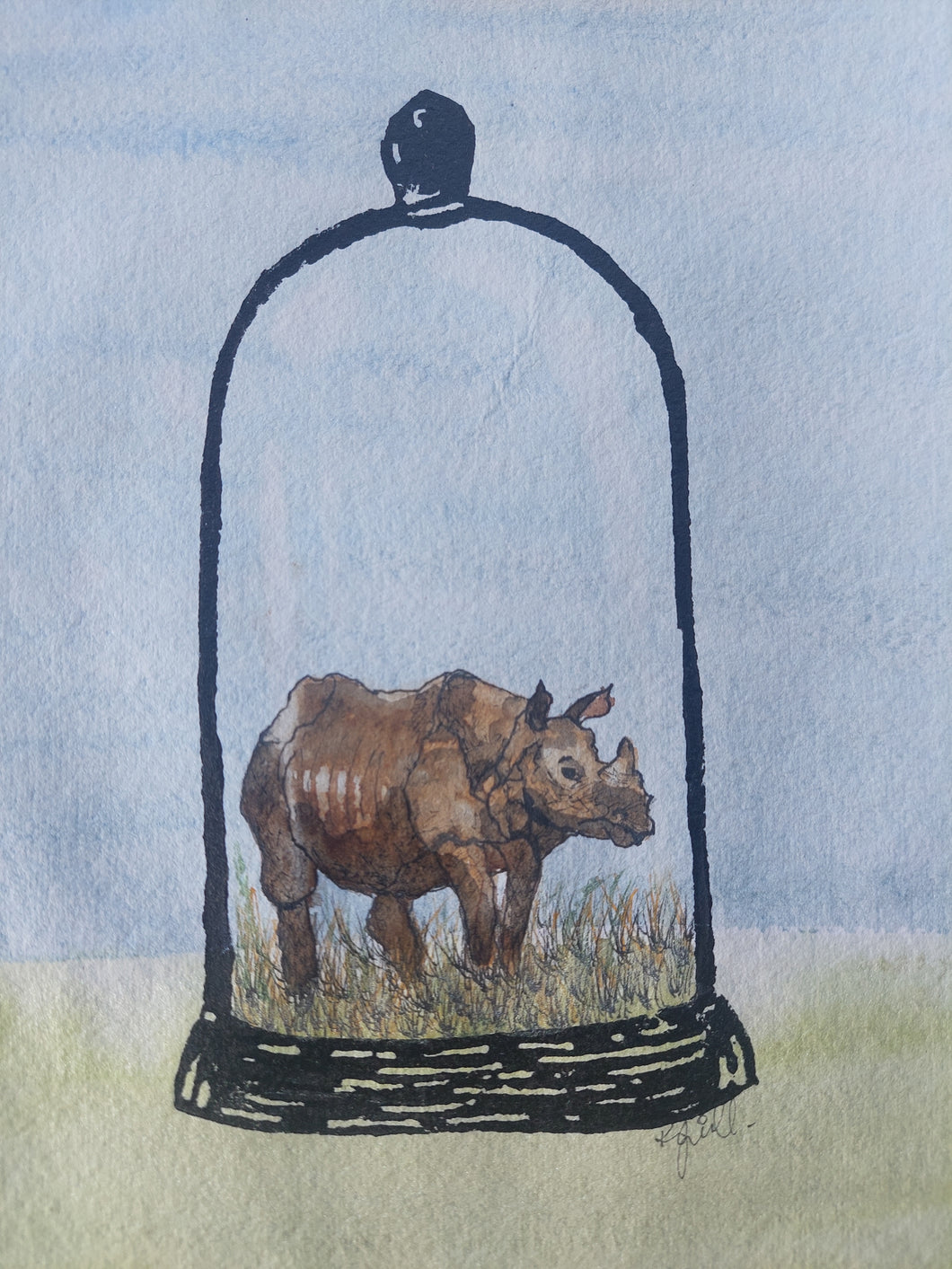 Javan rhinoceros (Rhinoceros sondaicus)