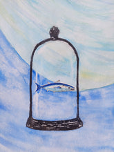 Load image into Gallery viewer, Southern bluefin tuna (Thunnus maccoyii)