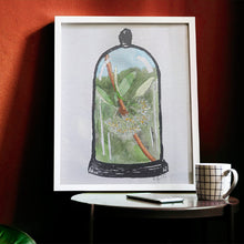 Load image into Gallery viewer, Olearia hectorii