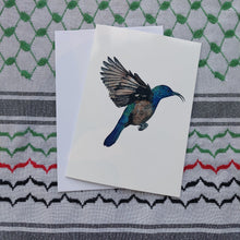 Load image into Gallery viewer, Palestine Sunbird  (Cinnyris osea) - greeting card (5 pack)