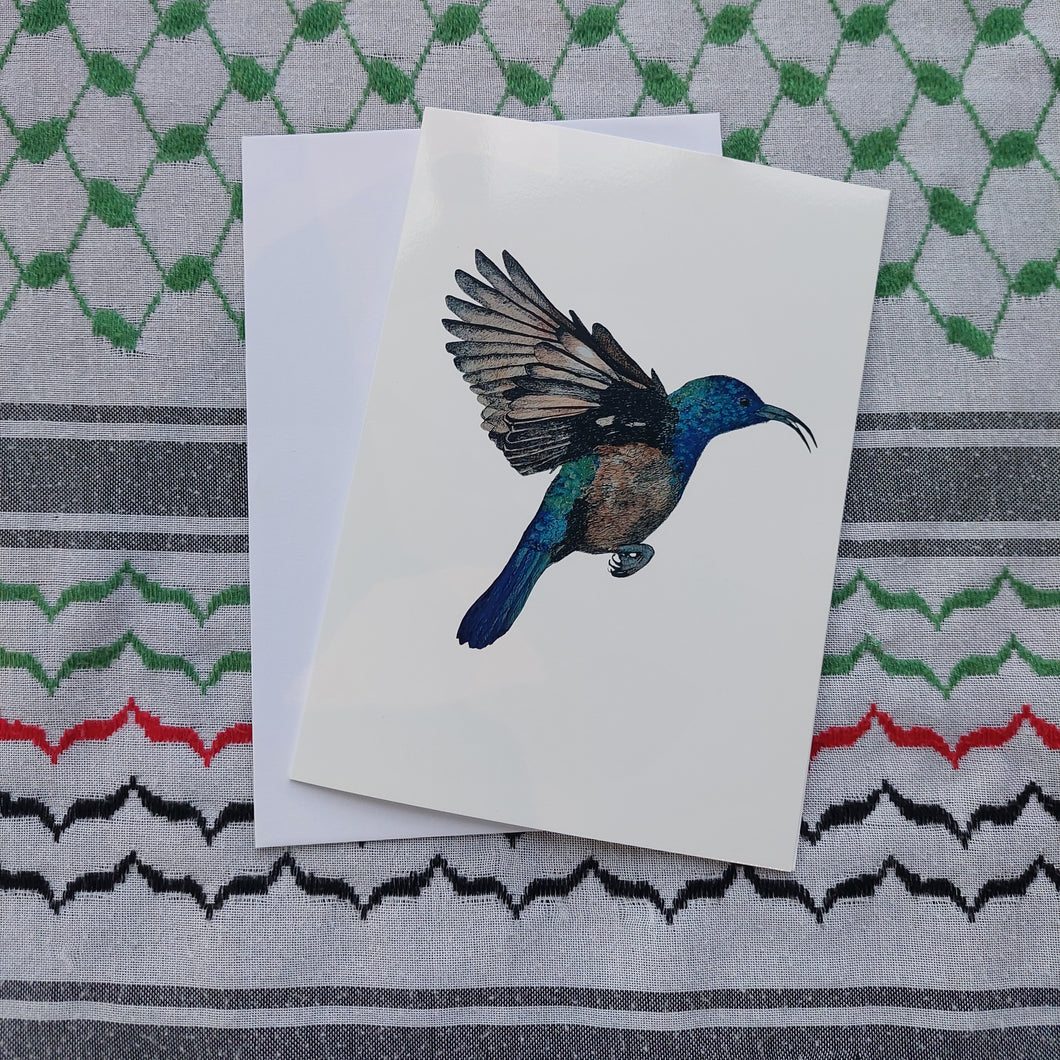 Palestine Sunbird  (Cinnyris osea) - greeting card (Single)