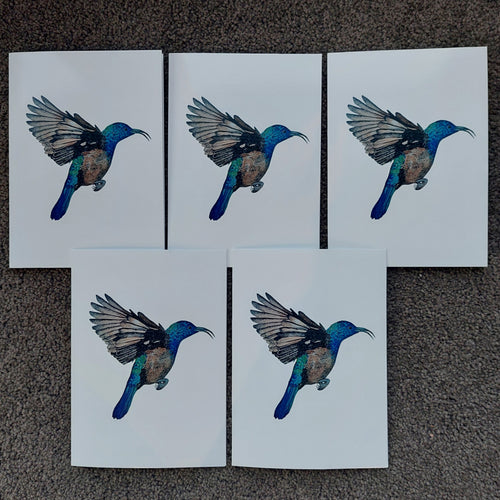 Palestine Sunbird  (Cinnyris osea) - greeting card (5 pack)