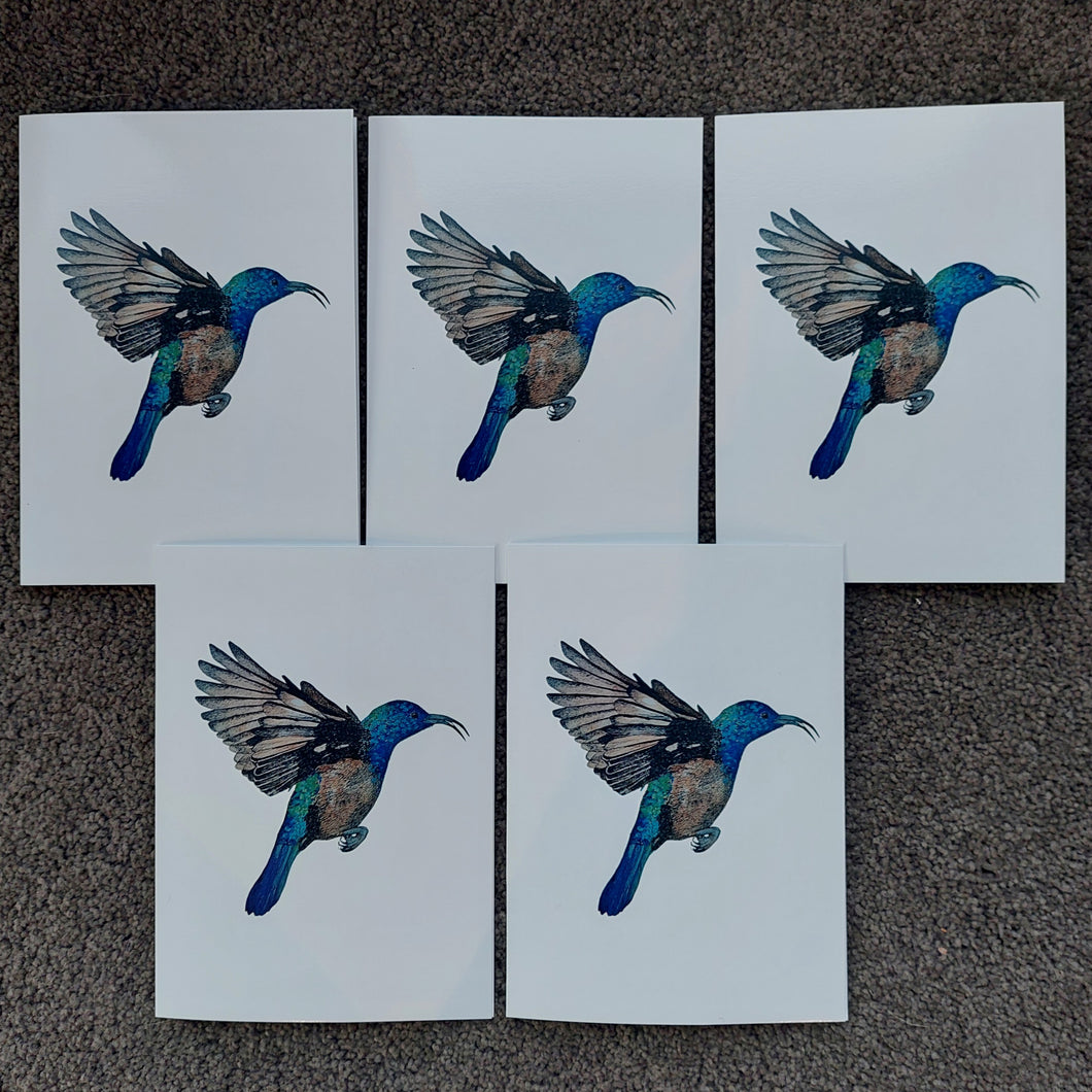 Palestine Sunbird  (Cinnyris osea) - greeting card (5 pack)