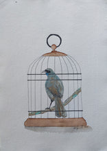 Load image into Gallery viewer, Kōkako