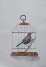 Load image into Gallery viewer, Tīeke