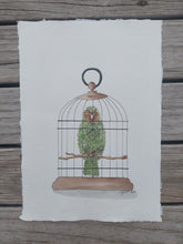 Load image into Gallery viewer, Kākāpō