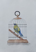 Load image into Gallery viewer, Korimako aka Bellbird