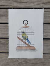 Load image into Gallery viewer, Korimako aka Bellbird