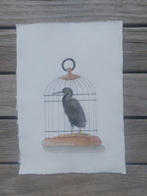 Load image into Gallery viewer, Matuku Moana aka Reef Heron