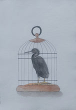 Load image into Gallery viewer, Matuku Moana aka Reef Heron