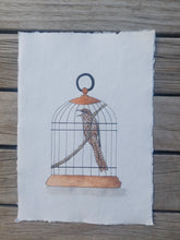 Load image into Gallery viewer, Koekoeā aka Long-tailed cuckoo