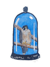 Load image into Gallery viewer, Peregrine falcon (Falco peregrinus)