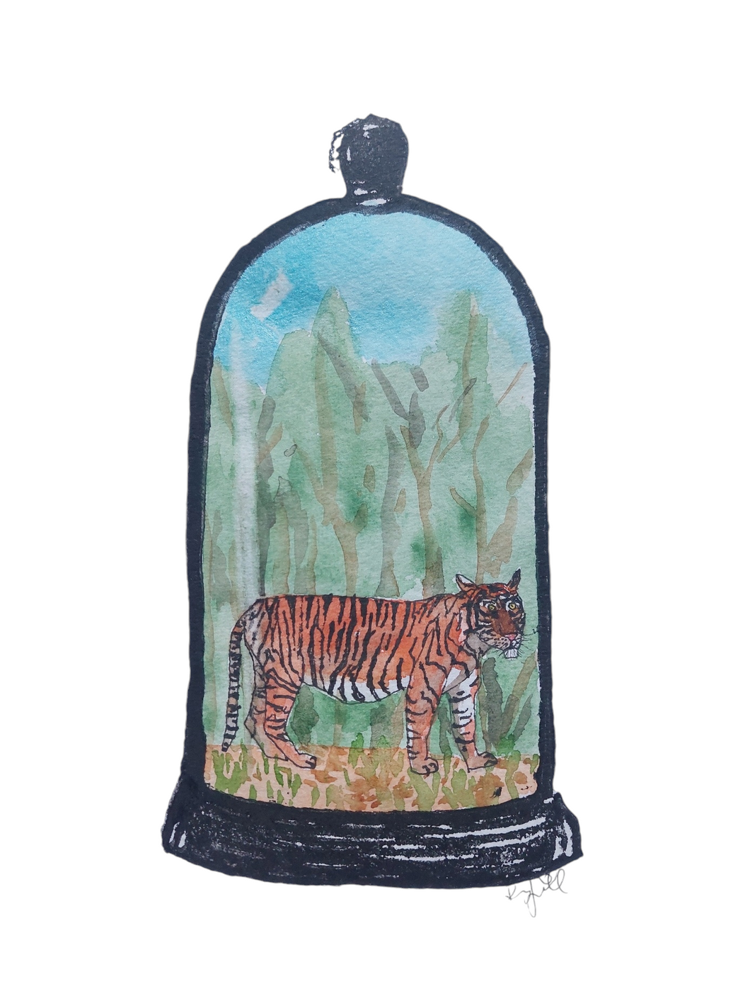 Sumatran tiger (Panthera tigris sumatrae)