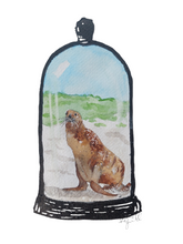 Load image into Gallery viewer, New Zealand sea lion / Pakake / Whakahao.