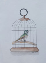 Load image into Gallery viewer, Pīpīwharauroa aka Shining cuckoo