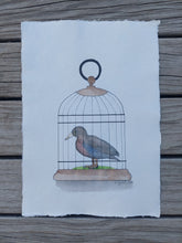 Load image into Gallery viewer, Whio aka Blue Duck