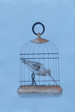 Load image into Gallery viewer, Kuaka aka Bar-tailed Godwit