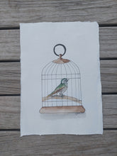 Load image into Gallery viewer, Pīpīwharauroa aka Shining cuckoo