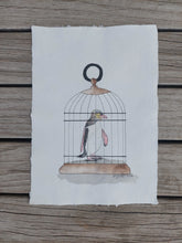 Load image into Gallery viewer, Hoiho aka Yellow-eyed penguin