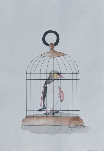 Hoiho aka Yellow-eyed penguin