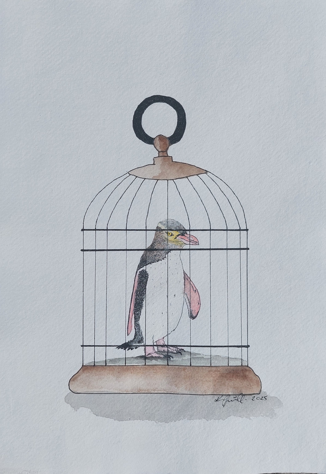 Hoiho aka Yellow-eyed penguin