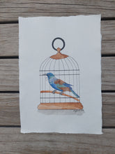 Load image into Gallery viewer, Tūī