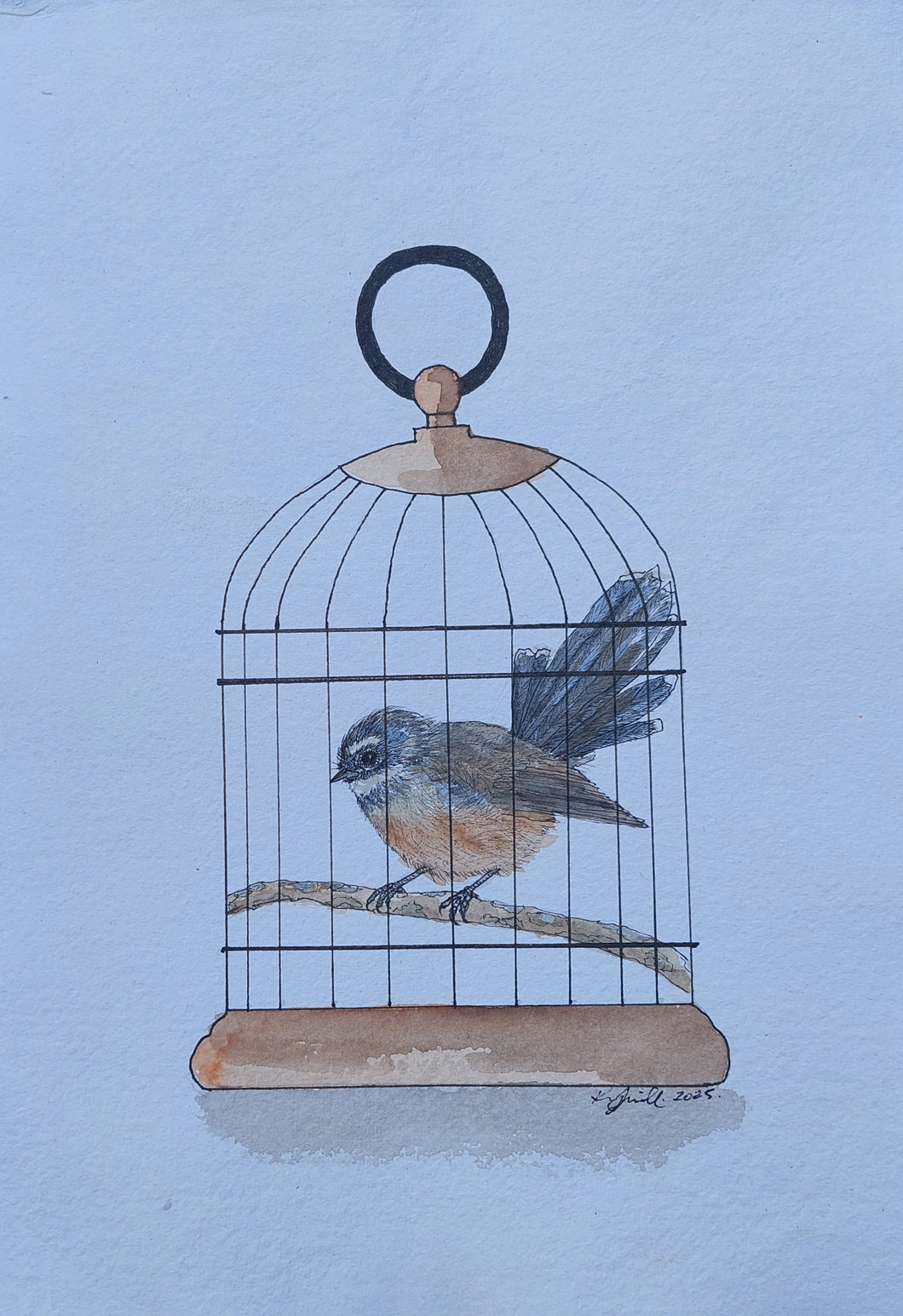 Pīwakawaka aka Fantail