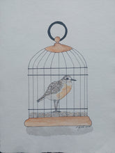 Load image into Gallery viewer, Tūturiwhatu aka Northern New Zealand dotterel