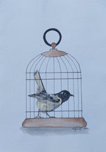 Load image into Gallery viewer, Hihi aka Stitchbird