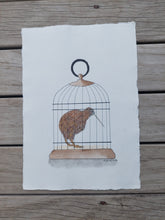 Load image into Gallery viewer, North Island brown kiwi