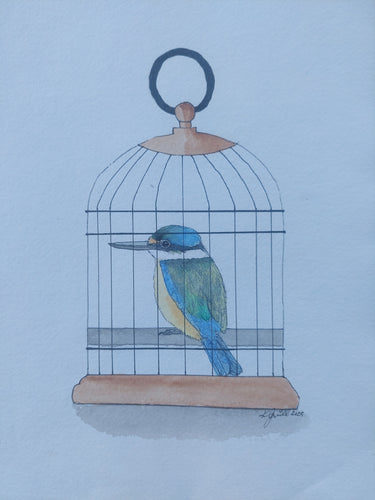 Kōtare aka Kingfisher