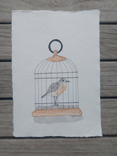 Load image into Gallery viewer, Tūturiwhatu aka Northern New Zealand dotterel