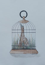 Load image into Gallery viewer, Matuku-hūrepo aka Australasian bittern